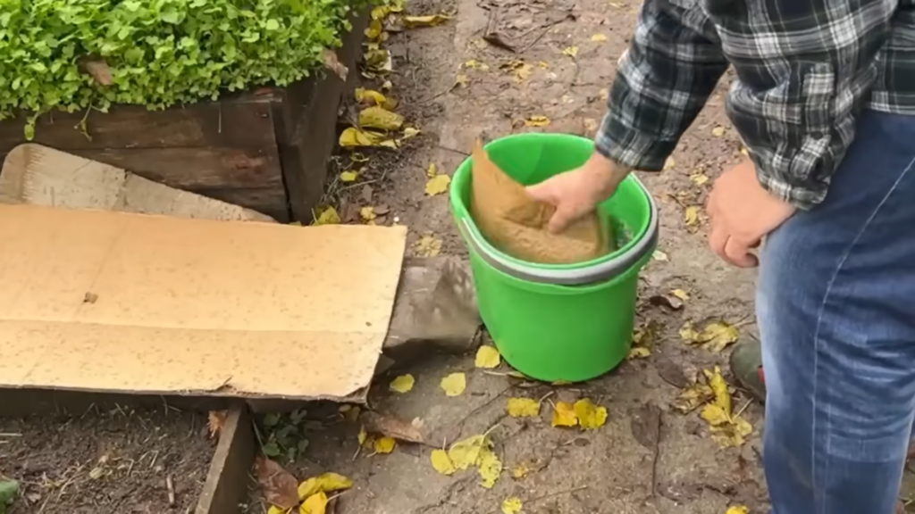 Картон на грядках - настоящий тренд!