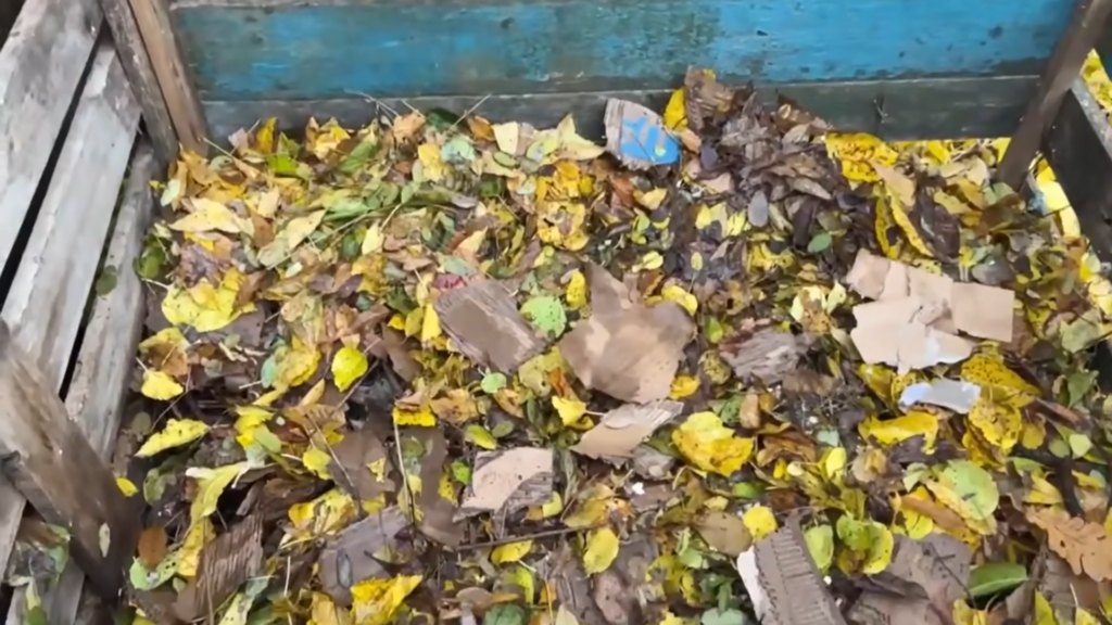 Картон на грядках - настоящий тренд!