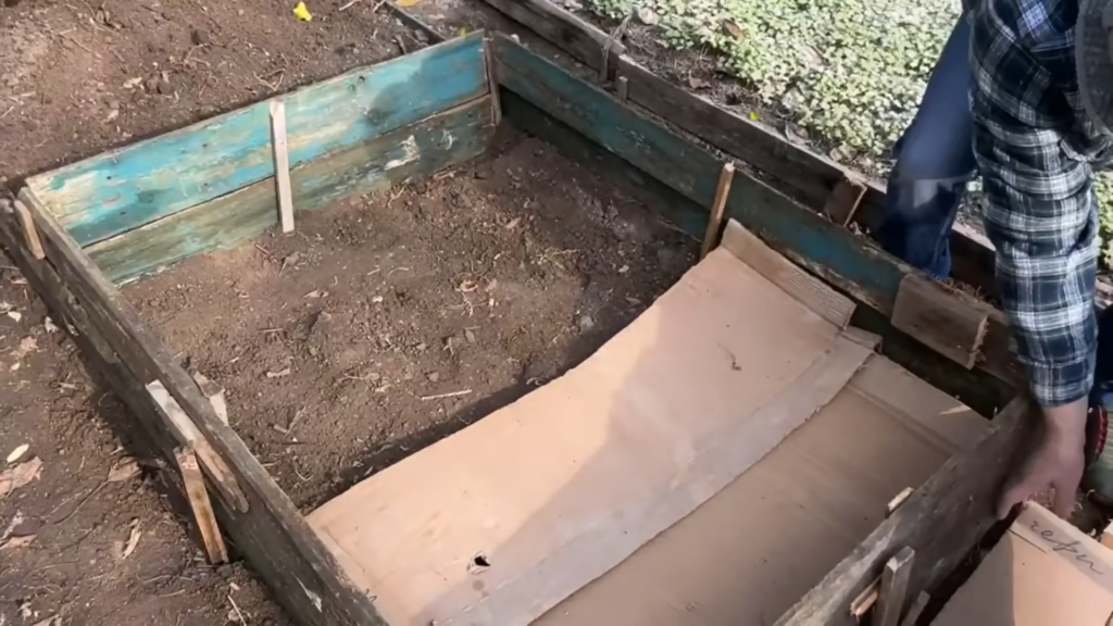 Картон на грядках - настоящий тренд!