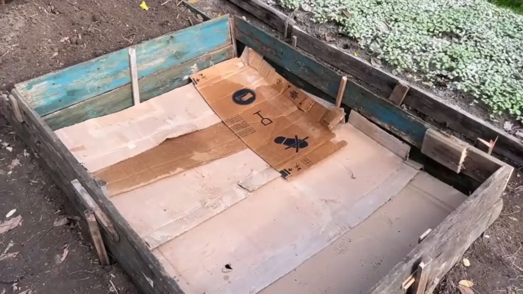 Картон на грядках - настоящий тренд!