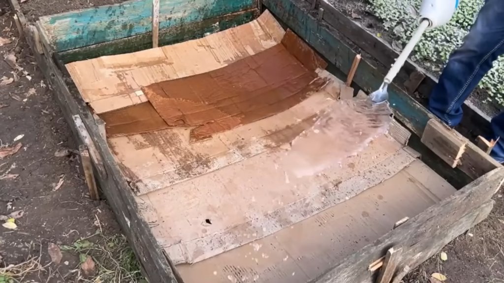 Картон на грядках - настоящий тренд! Картон на грядках - настоящий тренд!