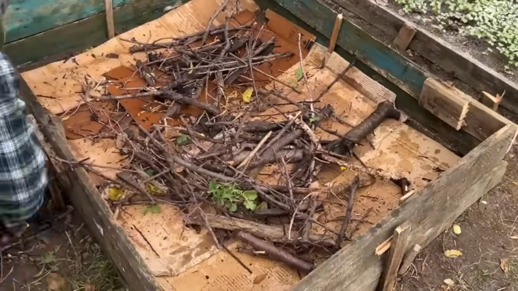 Картон на грядках - настоящий тренд! Картон на грядках - настоящий тренд!