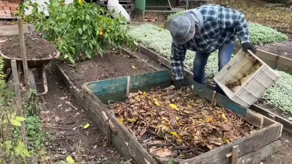 Картон на грядках - настоящий тренд!