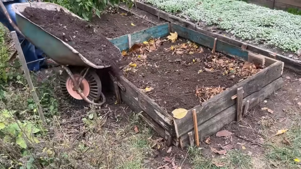 Картон на грядках - настоящий тренд!