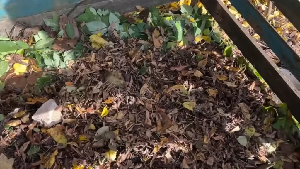 Картон на грядках - настоящий тренд!