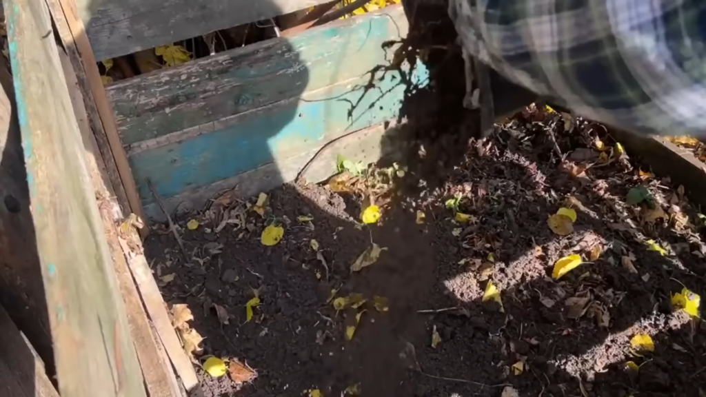 Картон на грядках - настоящий тренд!